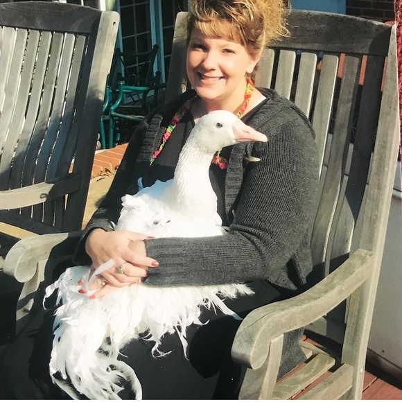 Welcome! - Picture 4 of 7